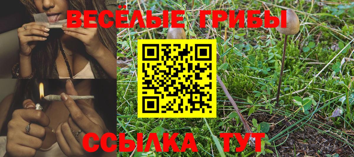 Малгобек  Псилоцибиновые грибы Psilocybe  Вход с VPN  где купить   Галлюциногенные грибы Magic Shrooms 