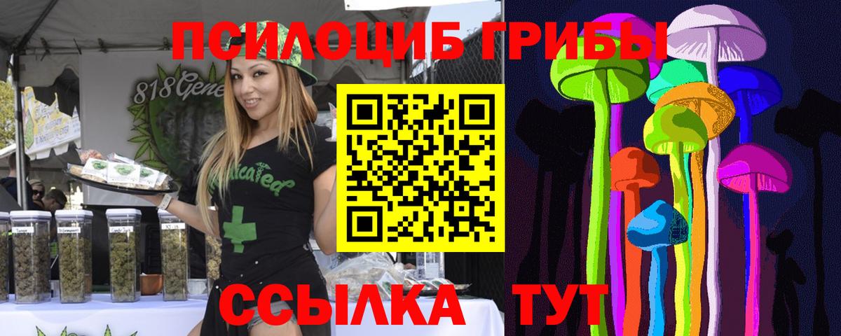 Галлюциногенные грибы Magic Shrooms Малгобек